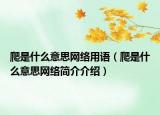 爬是什么意思网络用语（爬是什么意思网络简介介绍）