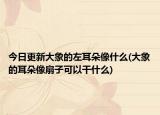今日更新大象的左耳朵像什么(大象的耳朵像扇子可以干什么)