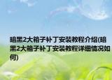 暗黑2大箱子补丁安装教程介绍(暗黑2大箱子补丁安装教程详细情况如何)