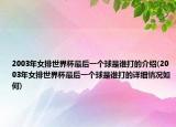 2003年女排世界杯最后一个球是谁打的介绍(2003年女排世界杯最后一个球是谁打的详细情况如何)
