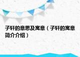 子轩的意思及寓意（子轩的寓意简介介绍）