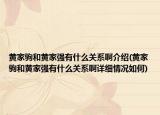 黄家驹和黄家强有什么关系啊介绍(黄家驹和黄家强有什么关系啊详细情况如何)
