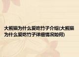 大熊猫为什么爱吃竹子介绍(大熊猫为什么爱吃竹子详细情况如何)