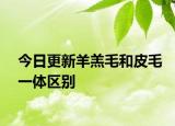 今日更新羊羔毛和皮毛一体区别