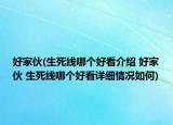 好家伙(生死线哪个好看介绍 好家伙 生死线哪个好看详细情况如何)