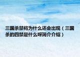三国杀禁将为什么还会出现（三国杀的四禁是什么呀简介介绍）