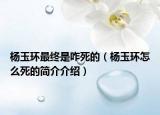 杨玉环最终是咋死的（杨玉环怎么死的简介介绍）