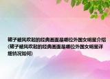 裙子被风吹起的经典画面是哪位外国女明星介绍(裙子被风吹起的经典画面是哪位外国女明星详细情况如何)