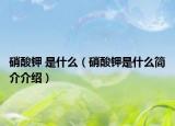 硝酸钾 是什么（硝酸钾是什么简介介绍）