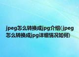 jpeg怎么转换成jpg介绍(jpeg怎么转换成jpg详细情况如何)
