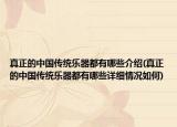 真正的中国传统乐器都有哪些介绍(真正的中国传统乐器都有哪些详细情况如何)