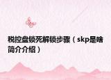 税控盘锁死解锁步骤（skp是啥简介介绍）