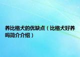 养比格犬的优缺点（比格犬好养吗简介介绍）