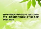 有一句歌词是我只想做你的公主(是什么歌啊介绍 有一句歌词是我只想做你的公主 是什么歌啊详细情况如何)