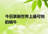 今日更新世界上最可怕的蜗牛