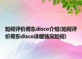 如何评价荷东disco介绍(如何评价荷东disco详细情况如何)