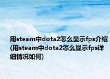 用steam中dota2怎么显示fps介绍(用steam中dota2怎么显示fps详细情况如何)