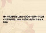 陆小凤传奇绣花大盗里,(最后哪个是薛冰介绍 陆小凤传奇绣花大盗里, 最后哪个是薛冰详细情况如何)
