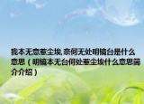 我本无意惹尘埃,奈何无处明镜台是什么意思（明镜本无台何处惹尘埃什么意思简介介绍）