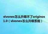 vivonex怎么升级不了originos1.0（vivonex怎么升级系统）