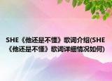 SHE《他还是不懂》歌词介绍(SHE《他还是不懂》歌词详细情况如何)
