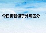 今日更新侄子外甥区分