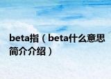beta指（beta什么意思简介介绍）