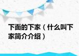 下面的下家（什么叫下家简介介绍）