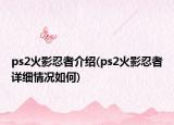 ps2火影忍者介绍(ps2火影忍者详细情况如何)
