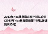 2013年nba林书豪在那个球队介绍(2013年nba林书豪在那个球队详细情况如何)