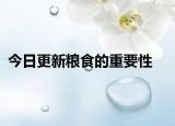 今日更新粮食的重要性