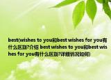 best(wishes to you和best wishes for you有什么区别?介绍 best wishes to you和best wishes for you有什么区别?详细情况如何)
