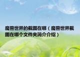 魔兽世界的截图在哪（魔兽世界截图在哪个文件夹简介介绍）