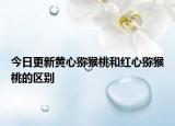 今日更新黄心猕猴桃和红心猕猴桃的区别