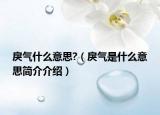 戾气什么意思?（戾气是什么意思简介介绍）