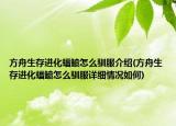 方舟生存进化蝠鲼怎么驯服介绍(方舟生存进化蝠鲼怎么驯服详细情况如何)