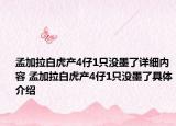 孟加拉白虎产4仔1只没墨了详细内容 孟加拉白虎产4仔1只没墨了具体介绍
