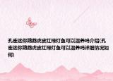 孔雀迷你鹦鹉虎皮红绿灯鱼可以混养吗介绍(孔雀迷你鹦鹉虎皮红绿灯鱼可以混养吗详细情况如何)
