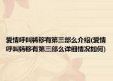 爱情呼叫转移有第三部么介绍(爱情呼叫转移有第三部么详细情况如何)