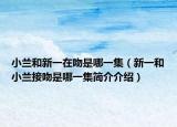 小兰和新一在吻是哪一集（新一和小兰接吻是哪一集简介介绍）