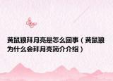 黄鼠狼拜月亮是怎么回事（黄鼠狼为什么会拜月亮简介介绍）
