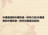 中通速递和中通快递一样吗介绍(中通速递和中通快递一样吗详细情况如何)