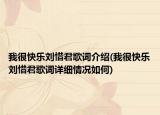 我很快乐刘惜君歌词介绍(我很快乐刘惜君歌词详细情况如何)