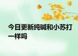 今日更新纯碱和小苏打一样吗