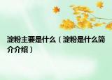 淀粉主要是什么（淀粉是什么简介介绍）