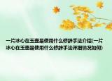 一片冰心在玉壶是使用什么修辞手法介绍(一片冰心在玉壶是使用什么修辞手法详细情况如何)