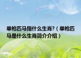 单枪匹马指什么生肖?（单枪匹马是什么生肖简介介绍）