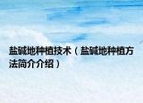 盐碱地种植技术（盐碱地种植方法简介介绍）