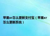 苹果xr怎么更新支付宝（苹果xr怎么更新系统）
