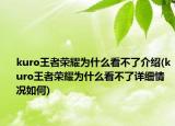 kuro王者荣耀为什么看不了介绍(kuro王者荣耀为什么看不了详细情况如何)